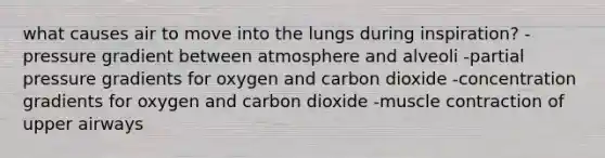 what causes air to move into the lungs during inspiration? -pressure gradient between atmosphere and alveoli -partial pressure gradients for oxygen and carbon dioxide -concentration gradients for oxygen and carbon dioxide -muscle contraction of upper airways