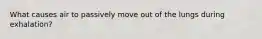 What causes air to passively move out of the lungs during exhalation?