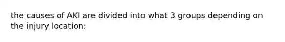 the causes of AKI are divided into what 3 groups depending on the injury location: