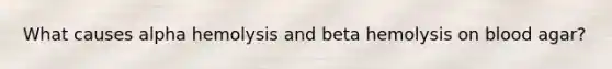 What causes alpha hemolysis and beta hemolysis on blood agar?