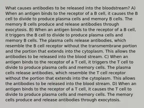 What causes antibodies to be released into <a href='https://www.questionai.com/knowledge/k7oXMfj7lk-the-blood' class='anchor-knowledge'>the blood</a>stream? A) When an antigen binds to the receptor of a B cell, it causes the B cell to divide to produce plasma cells and memory B cells. The memory B cells produce and release antibodies through exocytosis. B) When an antigen binds to the receptor of a B cell, it triggers the B cell to divide to produce plasma cells and memory B cells. The plasma cells release antibodies, which resemble the B cell receptor without the transmembrane portion and the portion that extends into the cytoplasm. This allows the antibodies to be released into the blood stream. C) When an antigen binds to the receptor of a T cell, it triggers the T cell to divide to produce plasma cells and memory cells. The plasma cells release antibodies, which resemble the T cell receptor without the portion that extends into the cytoplasm. This allows the antibodies to be released into the blood stream. D) When an antigen binds to the receptor of a T cell, it causes the T cell to divide to produce plasma cells and memory cells. The memory cells produce and release antibodies through exocytosis.