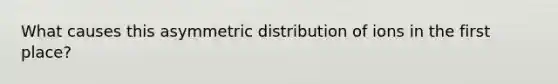 What causes this asymmetric distribution of ions in the first place?