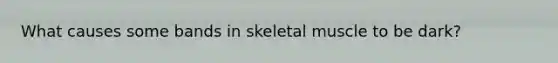 What causes some bands in skeletal muscle to be dark?