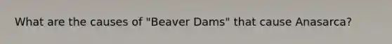 What are the causes of "Beaver Dams" that cause Anasarca?