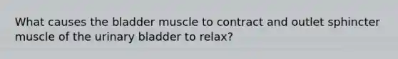 What causes the bladder muscle to contract and outlet sphincter muscle of the urinary bladder to relax?