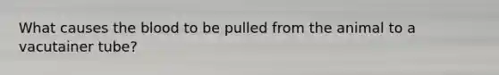 What causes the blood to be pulled from the animal to a vacutainer tube?