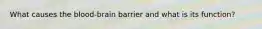 What causes the blood-brain barrier and what is its function?