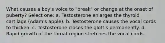 What causes a boy's voice to "break" or change at the onset of puberty? Select one: a. Testosterone enlarges the thyroid cartilage (Adam's apple). b. Testosterone causes the vocal cords to thicken. c. Testosterone closes the glottis permanently. d. Rapid growth of the throat region stretches the vocal cords.