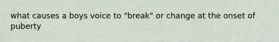 what causes a boys voice to "break" or change at the onset of puberty