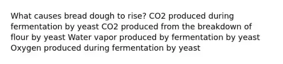 What causes bread dough to rise? CO2 produced during fermentation by yeast CO2 produced from the breakdown of flour by yeast Water vapor produced by fermentation by yeast Oxygen produced during fermentation by yeast