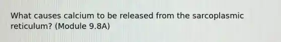 What causes calcium to be released from the sarcoplasmic reticulum? (Module 9.8A)