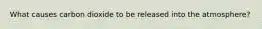 What causes carbon dioxide to be released into the atmosphere?