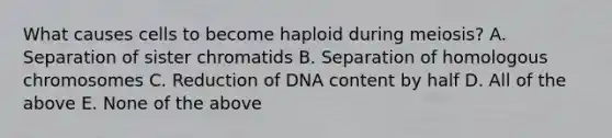 What causes cells to become haploid during meiosis? A. Separation of sister chromatids B. Separation of homologous chromosomes C. Reduction of DNA content by half D. All of the above E. None of the above