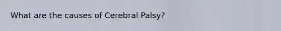 What are the causes of Cerebral Palsy?