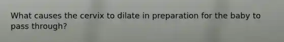 What causes the cervix to dilate in preparation for the baby to pass through?