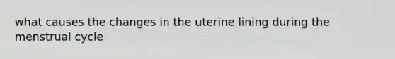 what causes the changes in the uterine lining during the menstrual cycle