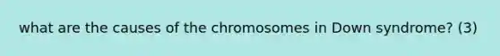 what are the causes of the chromosomes in Down syndrome? (3)