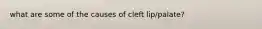 what are some of the causes of cleft lip/palate?