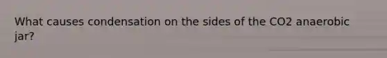 What causes condensation on the sides of the CO2 anaerobic jar?