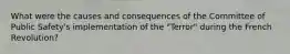 What were the causes and consequences of the Committee of Public Safety's implementation of the "Terror" during the French Revolution?