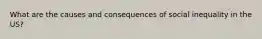 What are the causes and consequences of social inequality in the US?
