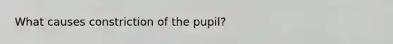 What causes constriction of the pupil?