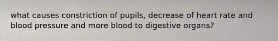 what causes constriction of pupils, decrease of heart rate and blood pressure and more blood to digestive organs?