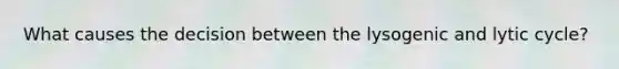 What causes the decision between the lysogenic and lytic cycle?