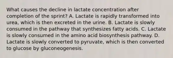 What causes the decline in lactate concentration after completion of the sprint? A. Lactate is rapidly transformed into urea, which is then excreted in the urine. B. Lactate is slowly consumed in the pathway that synthesizes fatty acids. C. Lactate is slowly consumed in the <a href='https://www.questionai.com/knowledge/kGlSAYajDK-amino-acid-biosynthesis' class='anchor-knowledge'>amino acid biosynthesis</a> pathway. D. Lactate is slowly converted to pyruvate, which is then converted to glucose by gluconeogenesis.