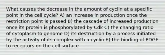 What causes the decrease in the amount of cyclin at a specific point in the cell cycle? A) an increase in production once the restriction point is passed B) the cascade of increased production once its protein is phosphorylated by Cdk C) the changing ratio of cytoplasm to genome D) its destruction by a process initiated by the activity of its complex with a cyclin E) the binding of PDGF to receptors on the cell surface