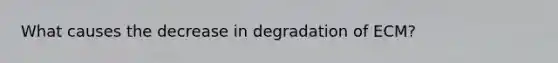 What causes the decrease in degradation of ECM?