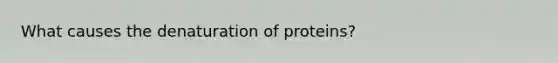 What causes the denaturation of proteins?