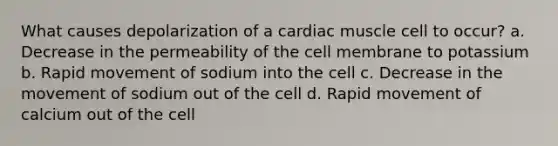 What causes depolarization of a cardiac muscle cell to occur? a. Decrease in the permeability of the cell membrane to potassium b. Rapid movement of sodium into the cell c. Decrease in the movement of sodium out of the cell d. Rapid movement of calcium out of the cell