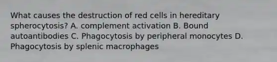 What causes the destruction of red cells in hereditary spherocytosis? A. complement activation B. Bound autoantibodies C. Phagocytosis by peripheral monocytes D. Phagocytosis by splenic macrophages