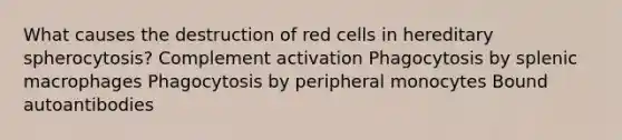 What causes the destruction of red cells in hereditary spherocytosis? Complement activation Phagocytosis by splenic macrophages Phagocytosis by peripheral monocytes Bound autoantibodies