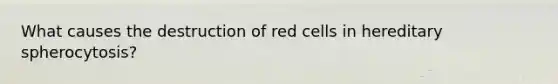 What causes the destruction of red cells in hereditary spherocytosis?