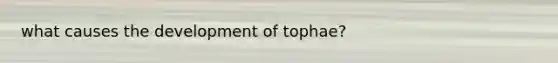 what causes the development of tophae?