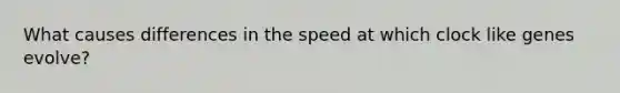 What causes differences in the speed at which clock like genes evolve?