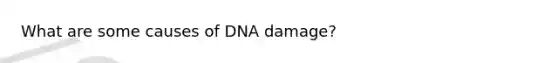 What are some causes of DNA damage?