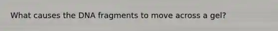What causes the DNA fragments to move across a gel?