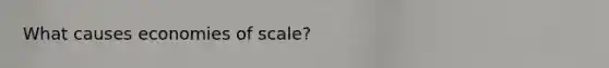 What causes economies of scale?