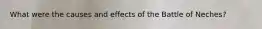 What were the causes and effects of the Battle of Neches?