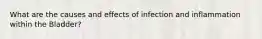 What are the causes and effects of infection and inflammation within the Bladder?