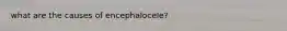 what are the causes of encephalocele?