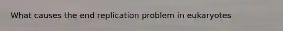 What causes the end replication problem in eukaryotes