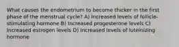 What causes the endometrium to become thicker in the first phase of the menstrual cycle? A) Increased levels of follicle-stimulating hormone B) Increased progesterone levels C) Increased estrogen levels D) Increased levels of luteinizing hormone