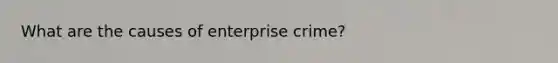 What are the causes of enterprise crime?