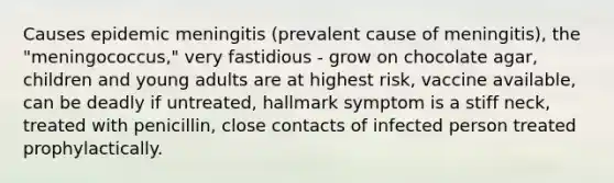 Causes epidemic meningitis (prevalent cause of meningitis), the "meningococcus," very fastidious - grow on chocolate agar, children and young adults are at highest risk, vaccine available, can be deadly if untreated, hallmark symptom is a stiff neck, treated with penicillin, close contacts of infected person treated prophylactically.