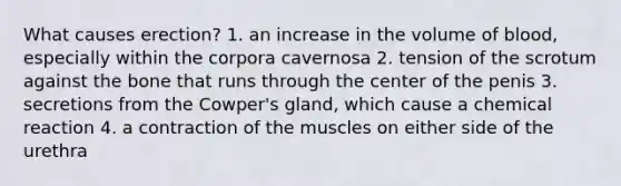 What causes erection? 1. an increase in the volume of blood, especially within the corpora cavernosa 2. tension of the scrotum against the bone that runs through the center of the penis 3. secretions from the Cowper's gland, which cause a chemical reaction 4. a contraction of the muscles on either side of the urethra