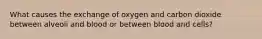 What causes the exchange of oxygen and carbon dioxide between alveoli and blood or between blood and cells?